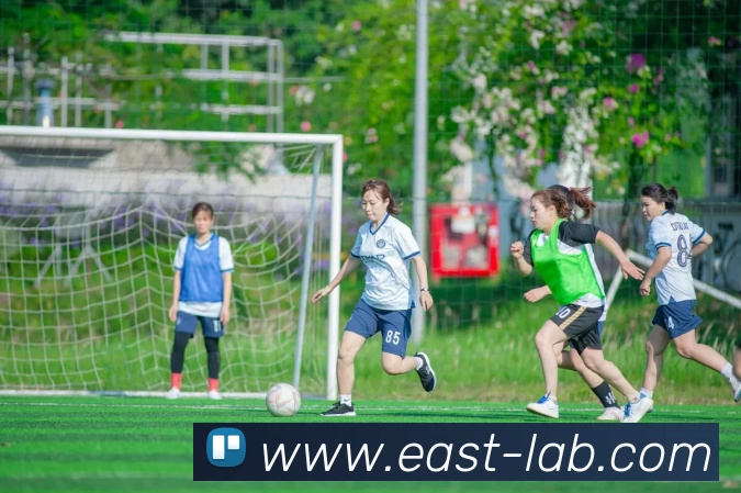 登录器
